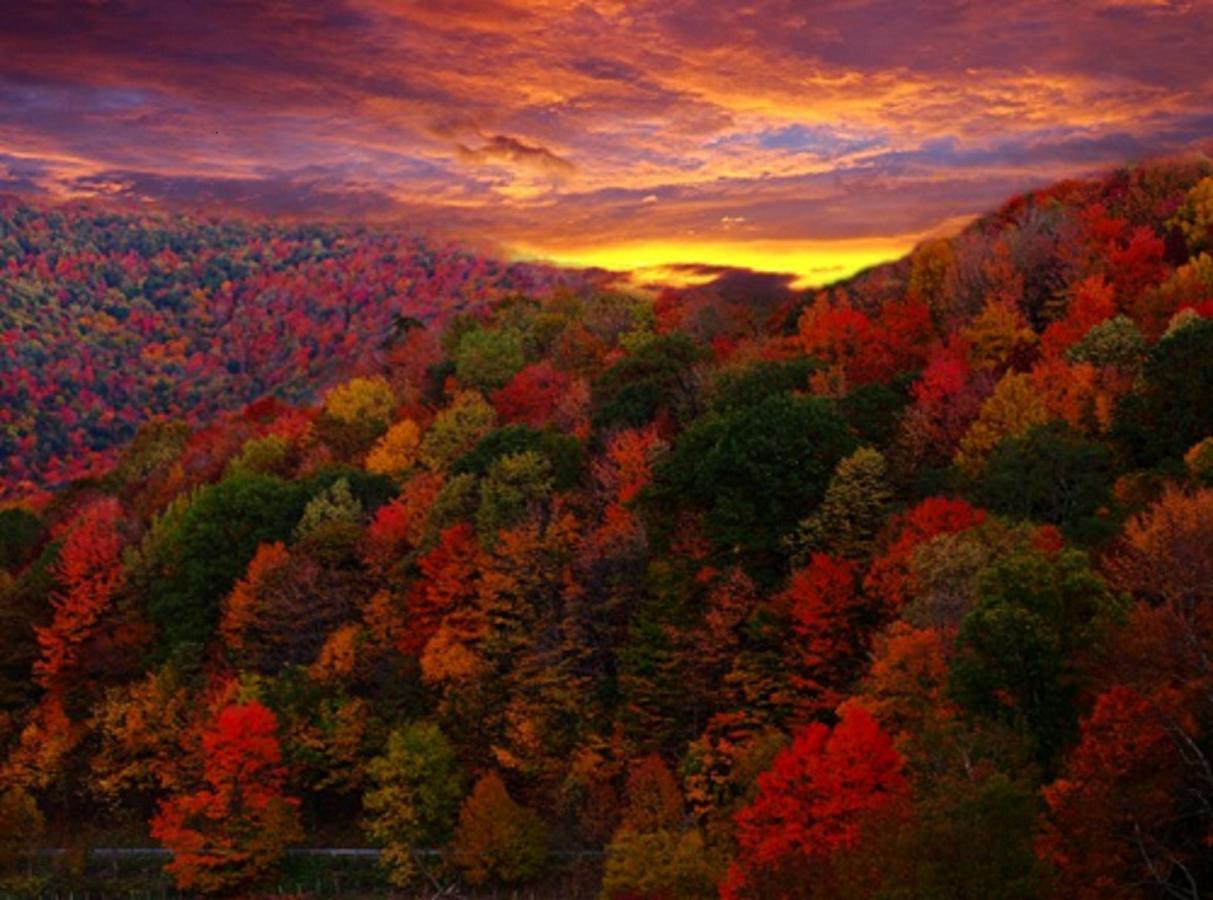 Buffalo Creek Bed And Breakfast 로빈스빌 외부 사진